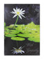 Cards Sympathy (No.79) (Pack of 12)
