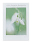 Cards Sympathy (No.80) (Pack of 12)