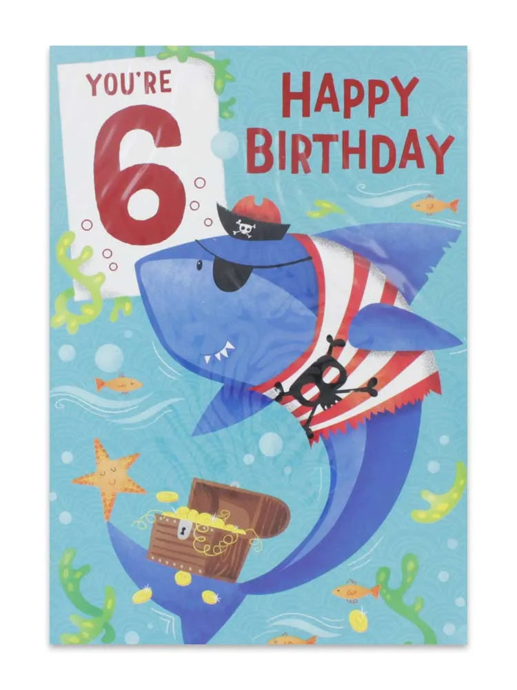 Boy Age 6 Birthday Card (Pack of 12)