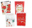 Deluxe Christmas Cards (Pack of 24)