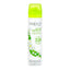 Yardley Lily Of The Valley Body Spray 75ML (Pack of 6)