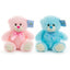 R05-1244 Pink/Blue 25Cm Cuddly Bears (Pack of 3)