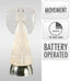 Ax5393310 Angel 24Cm Water Glitter Figurine (Pack of 3)