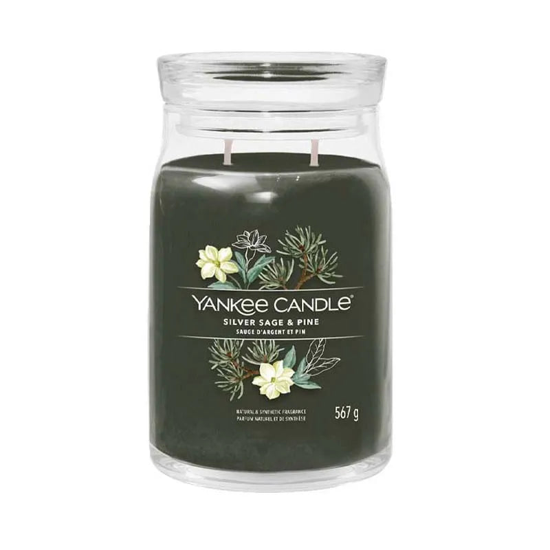 Yankee Signature Silver Sage & Pine 567G Candle X4 (Pack of 4)