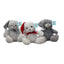 Toy9260Ob Xmas Bear 25Cm (Pack of 6)